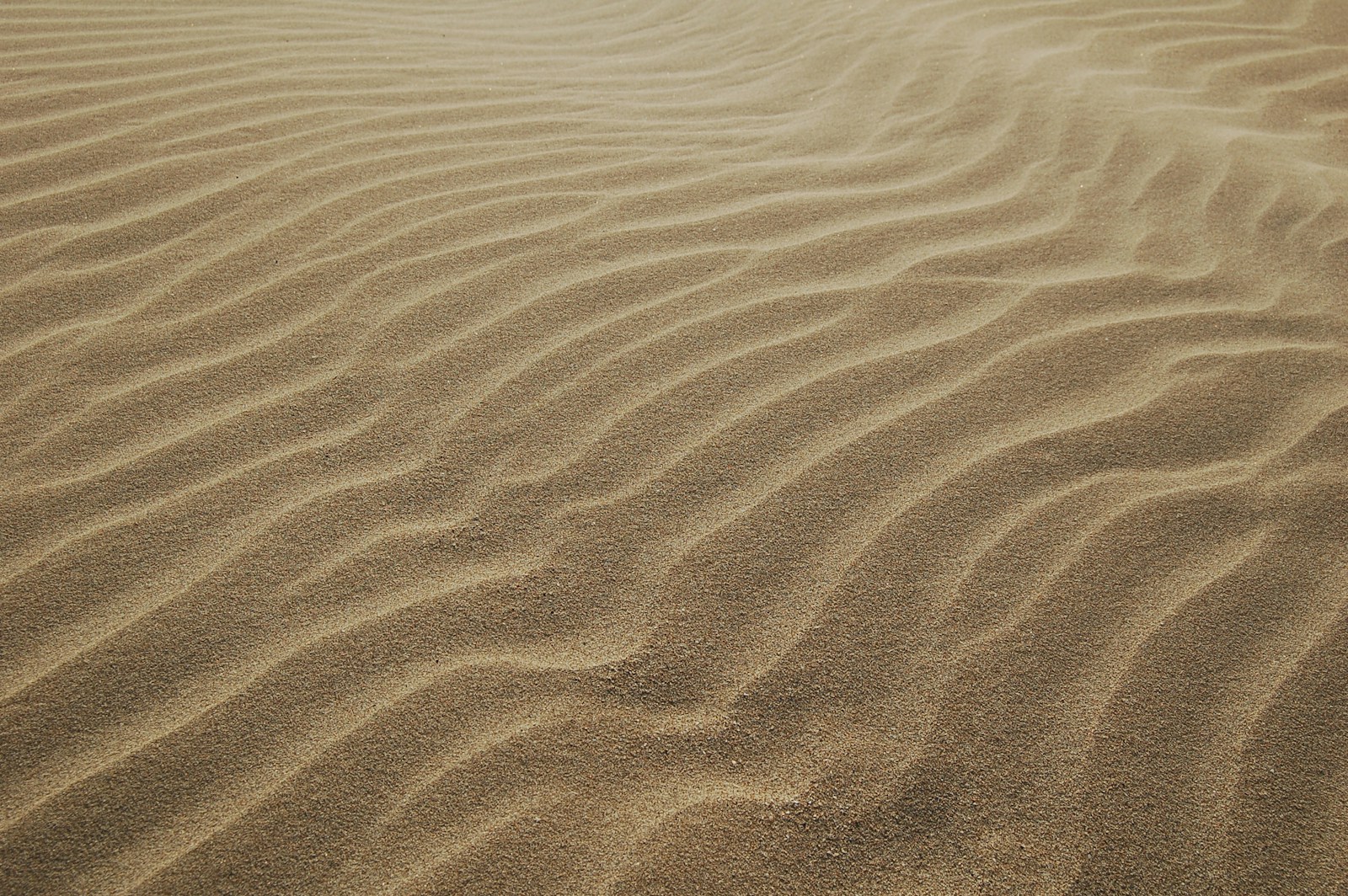Photo by Chris Barbalis footprints on sand